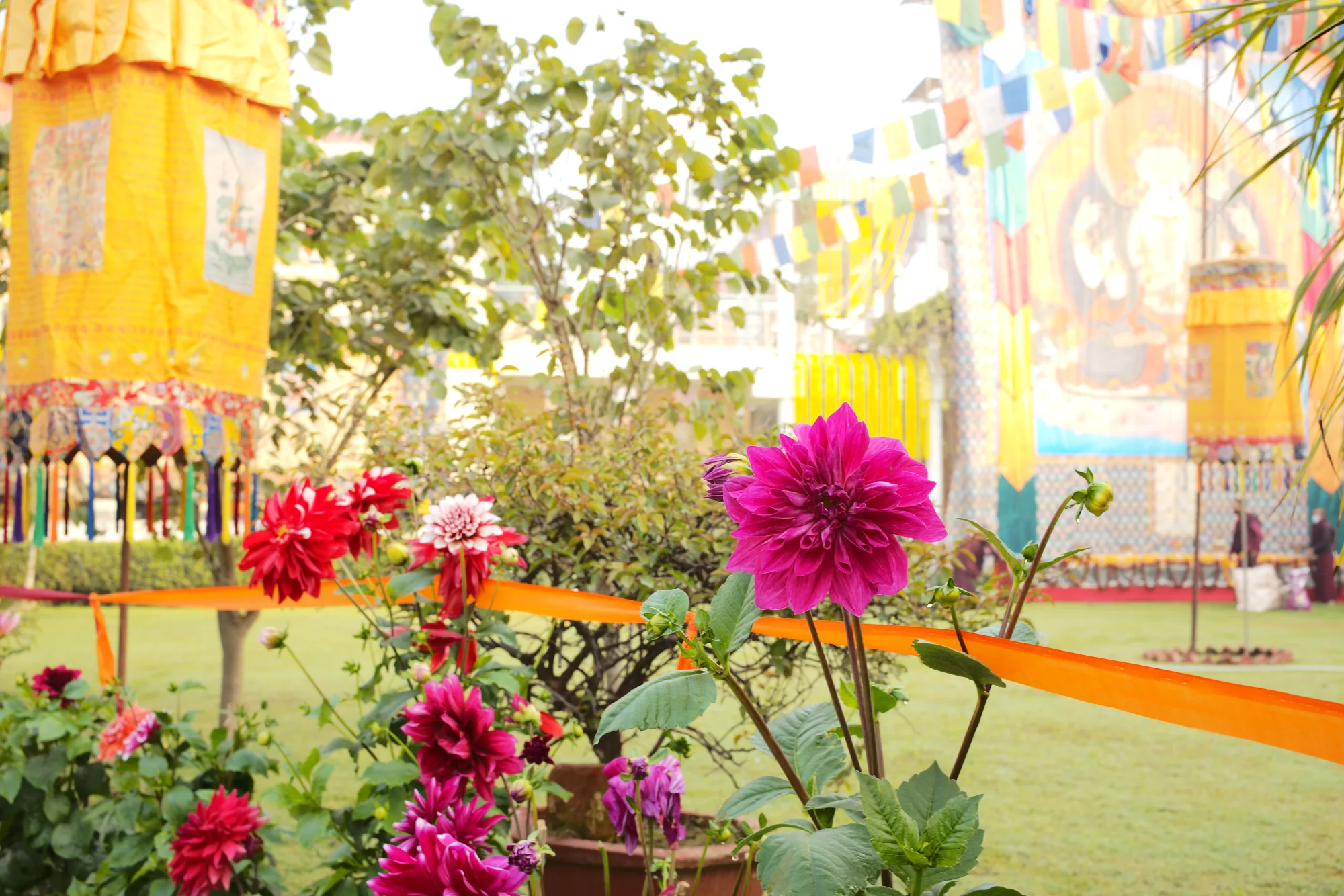 SINI campus with dahlias and prayer flags