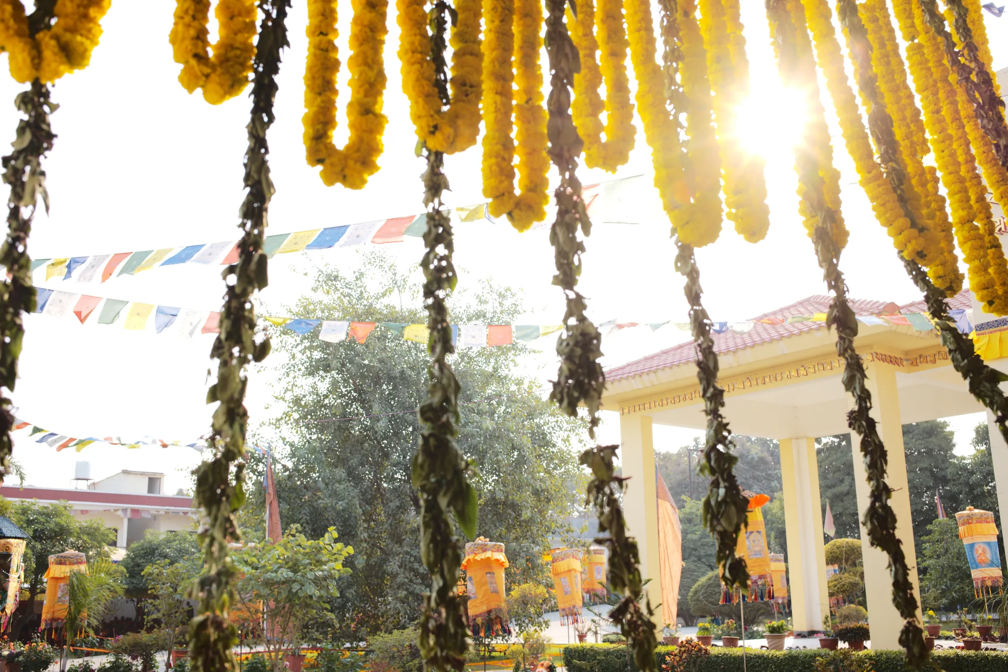 SINI campus at sunrise with marigolds